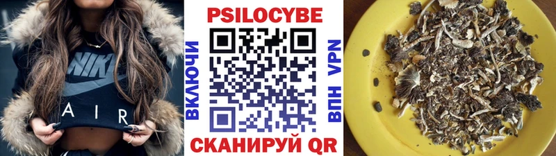 Псилоцибиновые грибы прущие грибы  Купить закладки  Калининград 