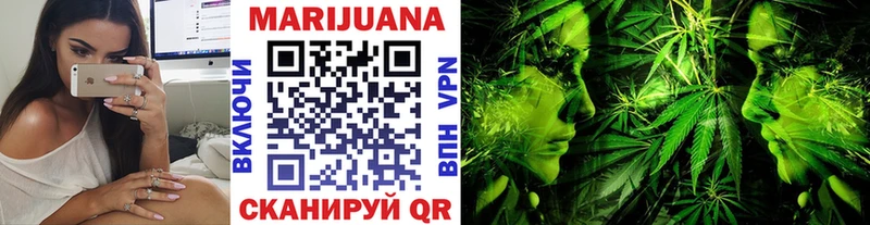 Шишки марихуана сатива  Купить закладки  Калининград 